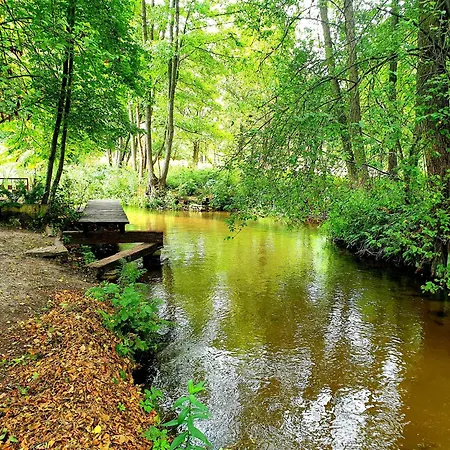 Jurajska Sielanka - Nad Rzeczką Pradla